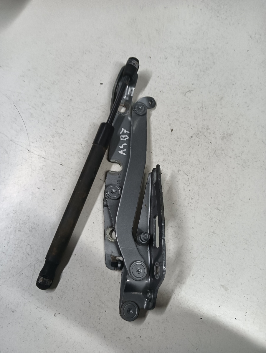 Balama capota  stanga fata AUDI A4 III 8EC, B7 2004 - 2008 – foto 2