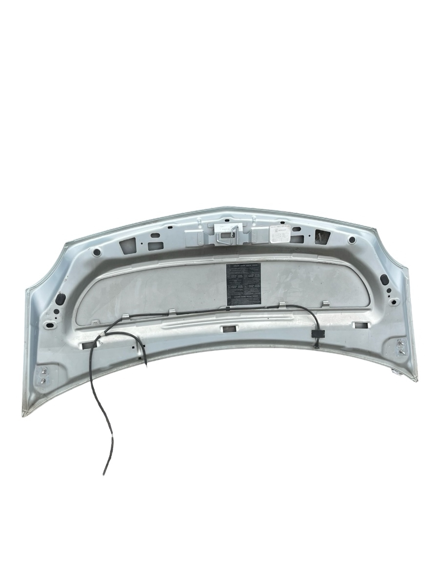 Capota motor RENAULT KANGOO KW0/1_ 2008 - > – foto 3