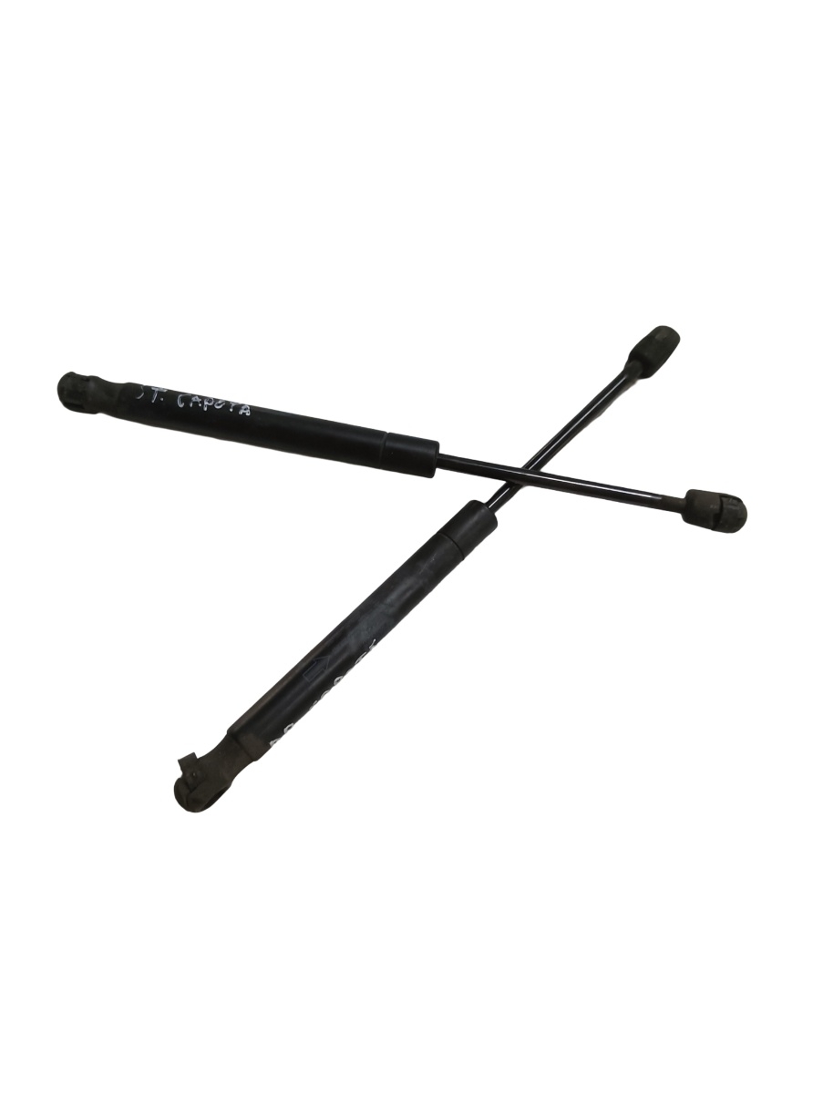 Amortizor capota fata LAND ROVER FREELANDER 2 LF_, L359 2006 - 2014