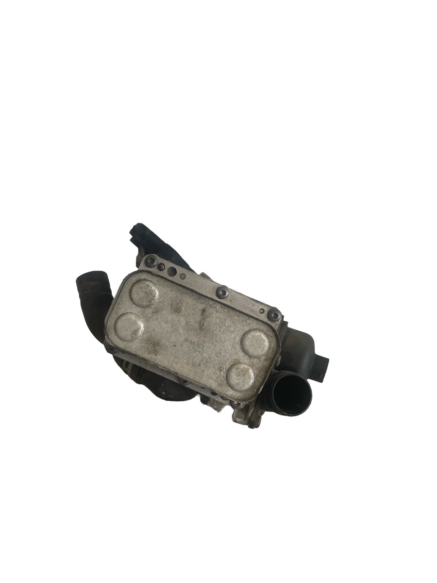 Termoflot NISSAN QASHQAI / QASHQAI +2 I J10, JJ10 2006 - 2014 2.0 dCi 4x4 M1D, M9R – foto 3