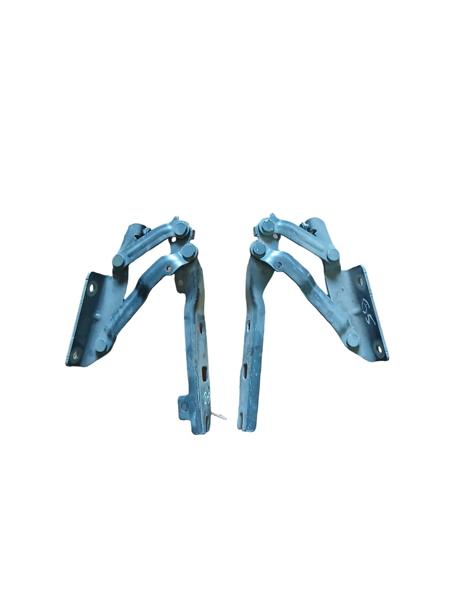 Cerniere del vano motore/cofano VOLKSWAGEN GOLF V Variant 1K5 2007 - 2009