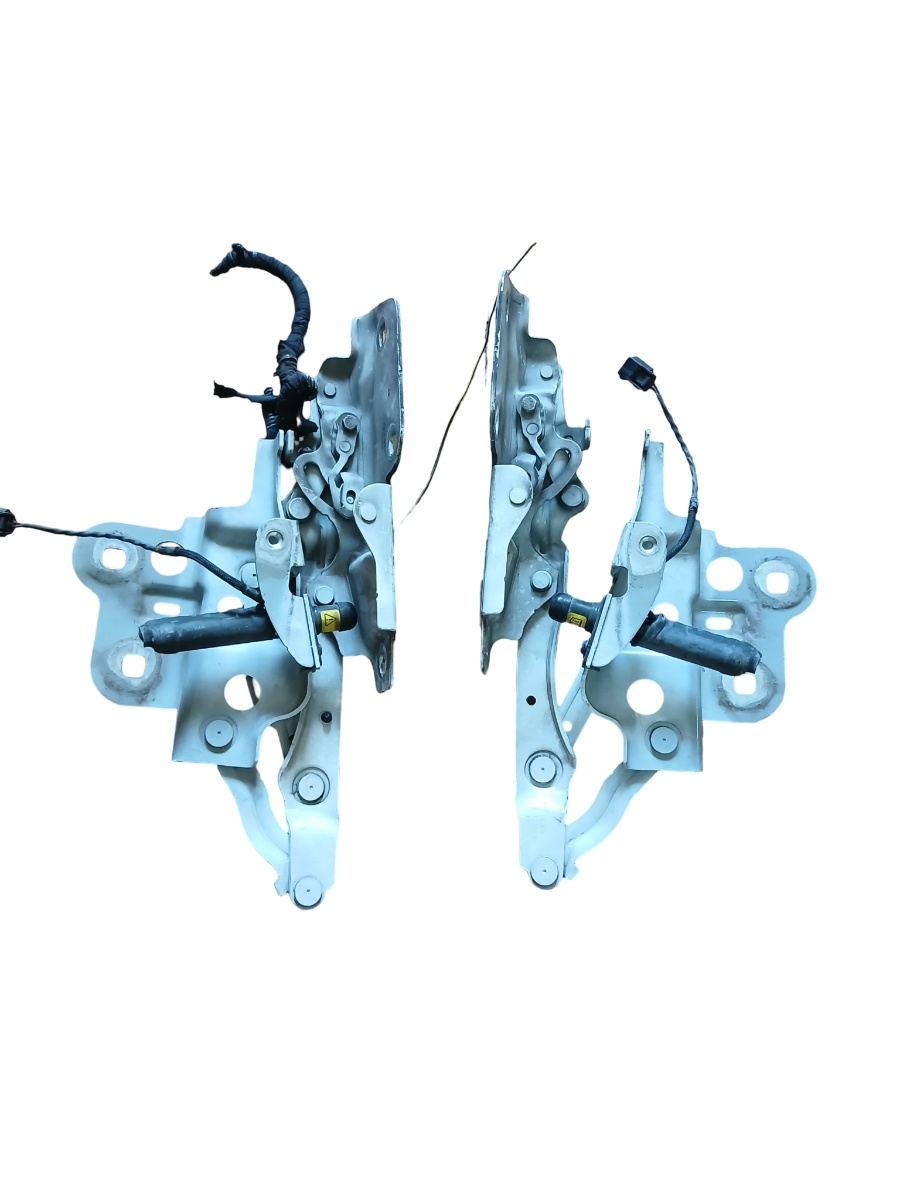 Cerniere del vano motore/cofano JAGUAR E-PACE X540 2017 - >