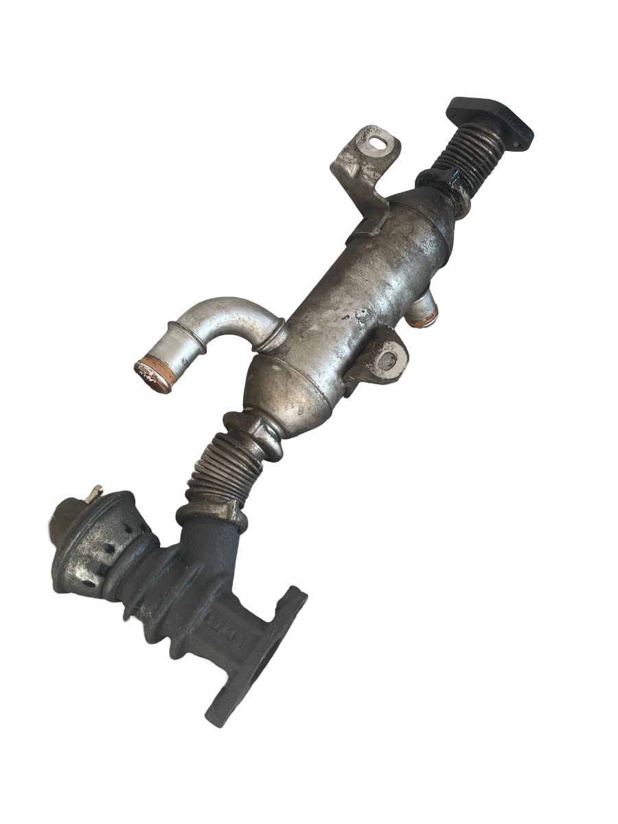 Racitor gaze+EGR PEUGEOT 406 8B 1995 - 2005 2.0 HDI 110 RHZ (DW10ATED) – foto 2