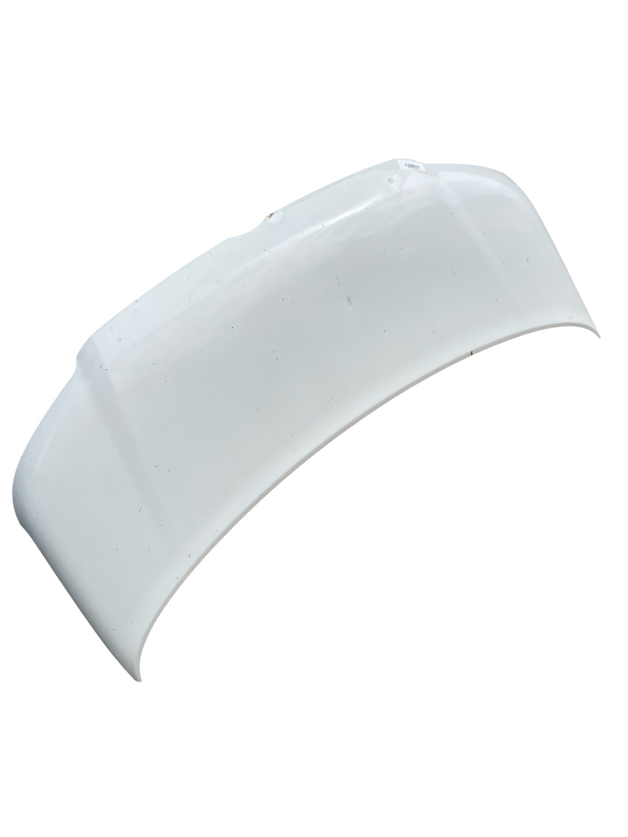 Capota motor VOLKSWAGEN TRANSPORTER V Platform/Chassis 7JD, 7JE, 7JL, 7JY, 7J