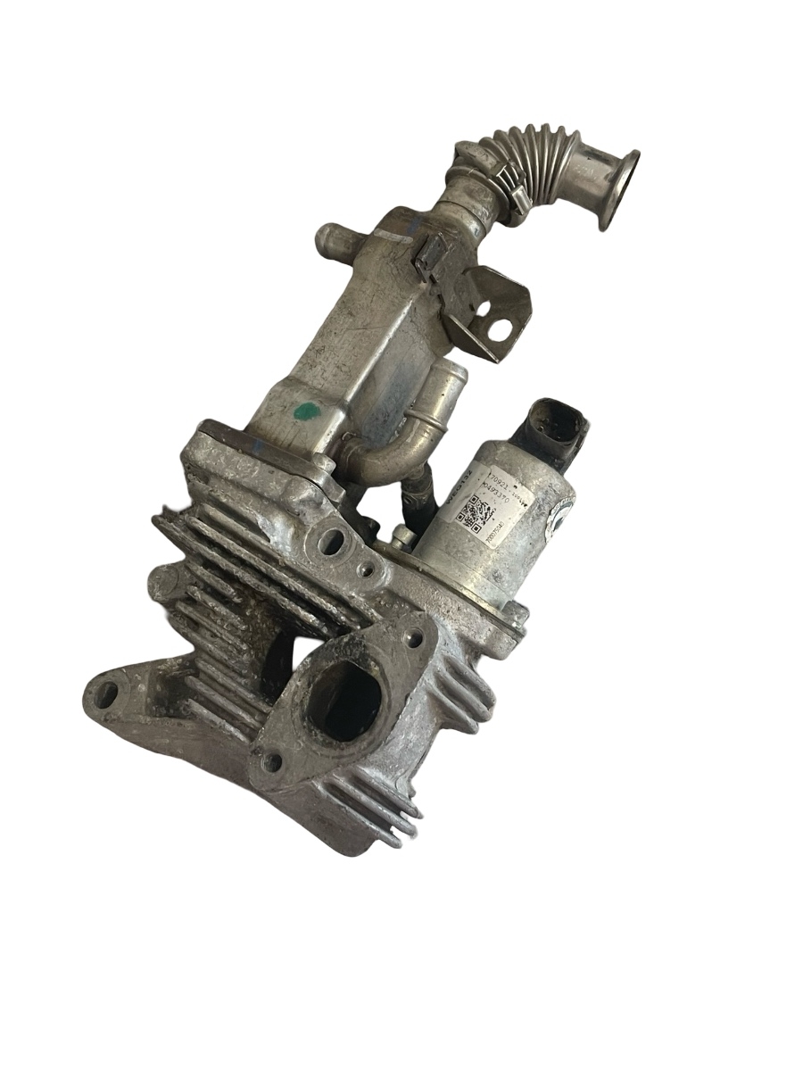 Racitor gaze + EGR RENAULT SCENIC II JM0/1_ 2003 - > 1.9DCI 20007506 – foto 5