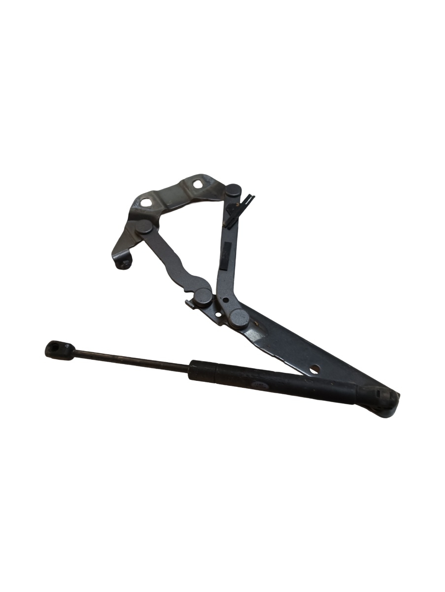 Balamale capota motor dreapta fata LAND ROVER RANGE ROVER EVOQUE LV_, L538 2011 - > – foto 2