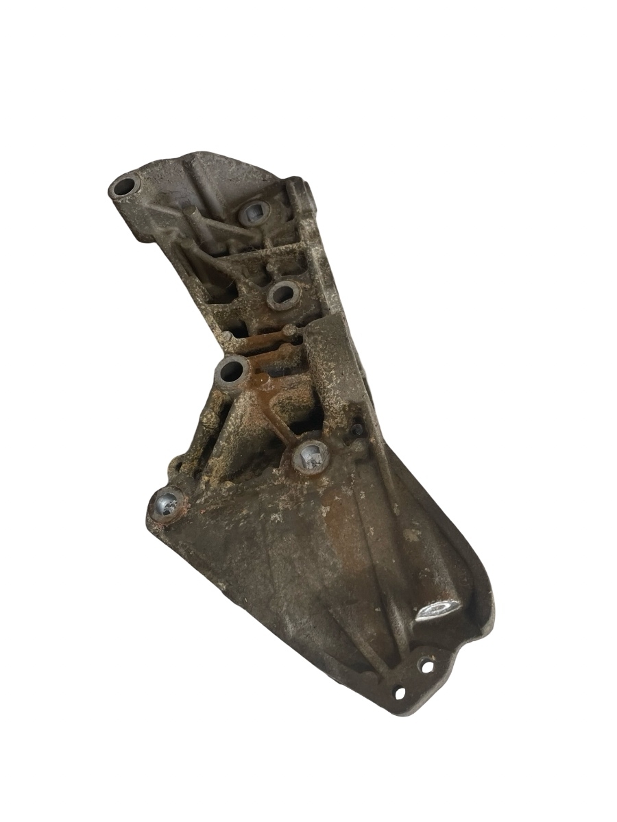 Suport accesorii RENAULT MEGANE II BM0/1_, CM0/1_ 2001 - 2012 1.5DCI