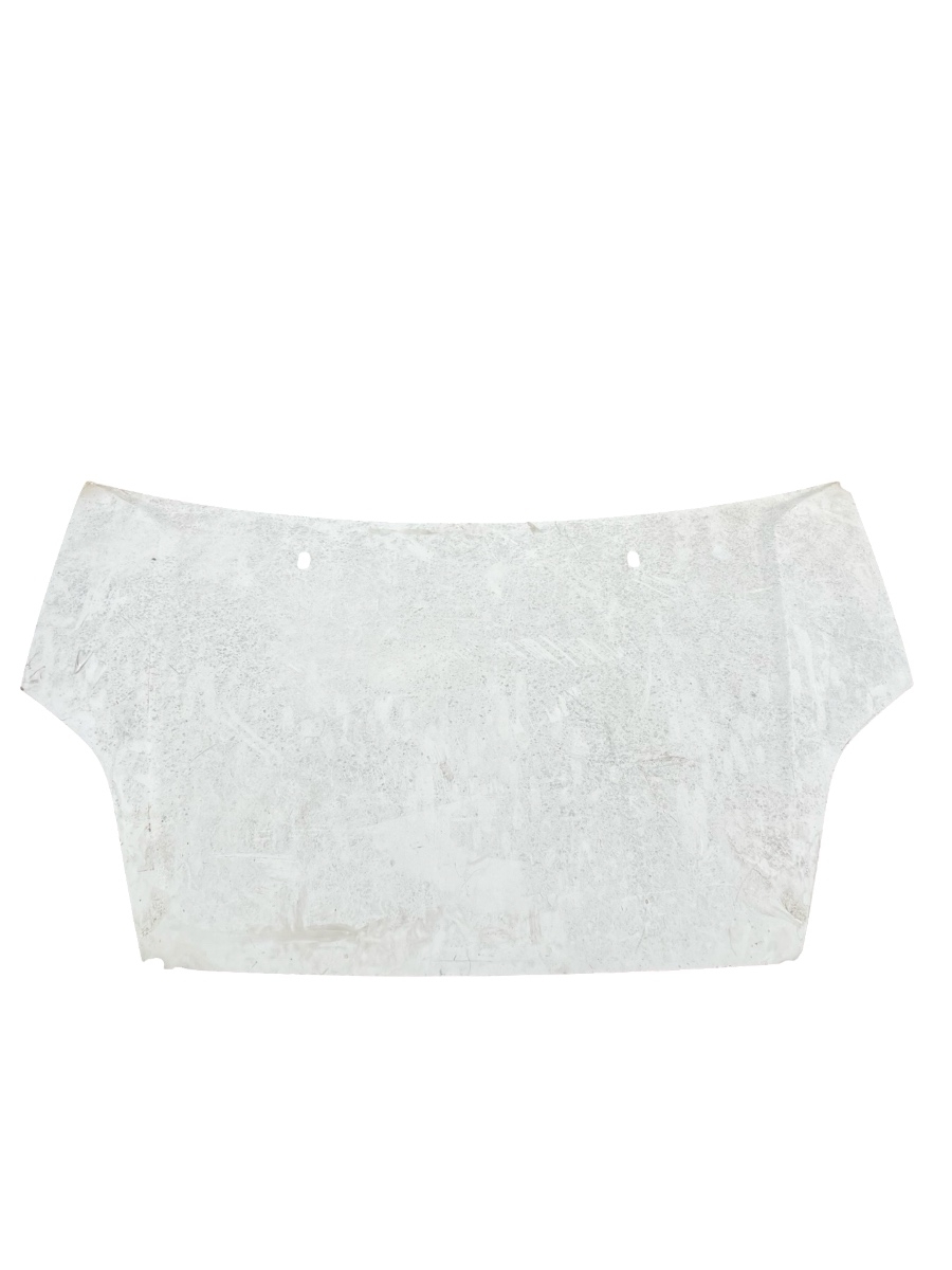 Capota motor FORD TRANSIT CONNECT P65_, P70_, P80_ 2002 -> – foto 2