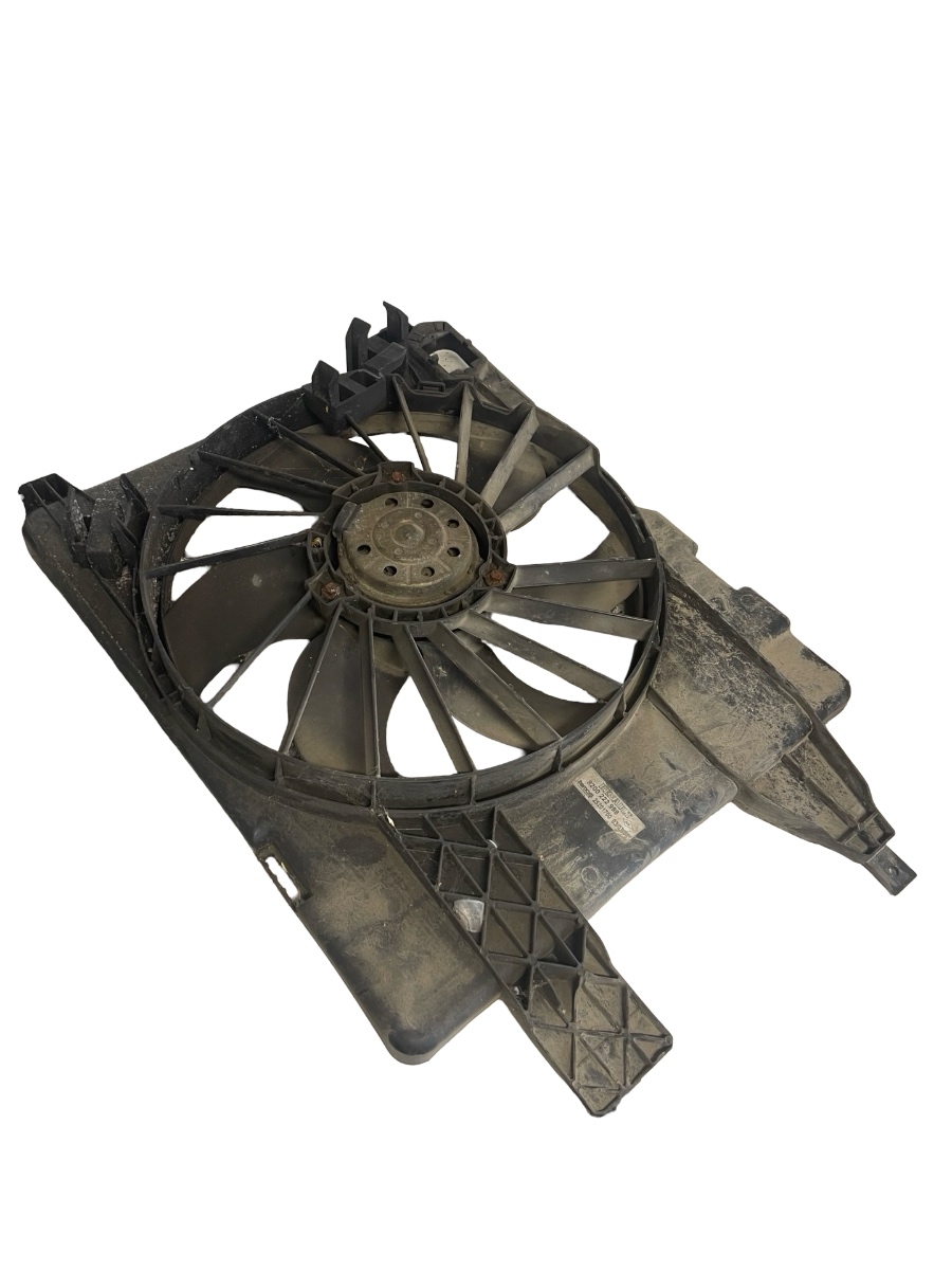 Electroventilator RENAULT MEGANE II BM0/1_, CM0/1_ 2001 - 2012 1.9DCI 8200222998