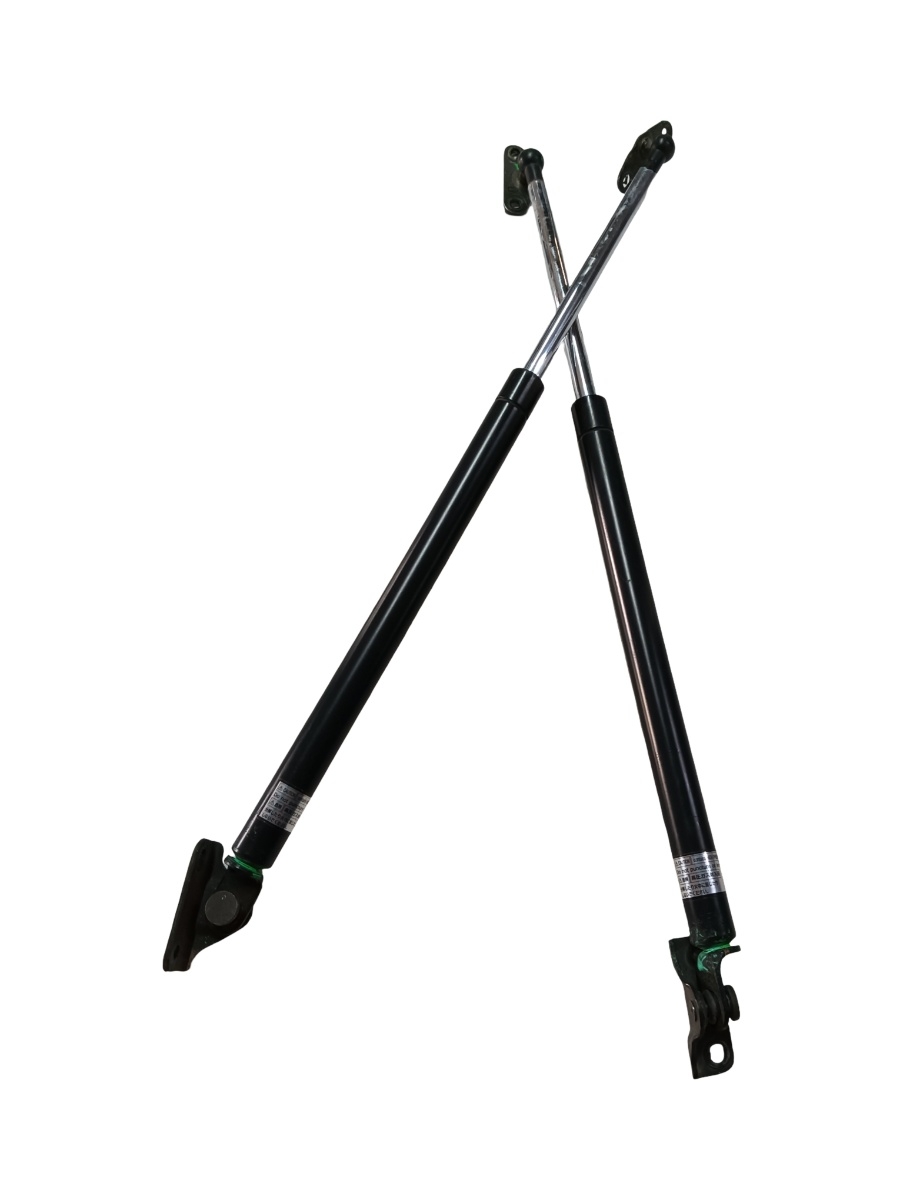 Amortizor hayon LEXUS RX II MHU3_, GSU3_, MCU3_ 2003 - 2008 – foto 2