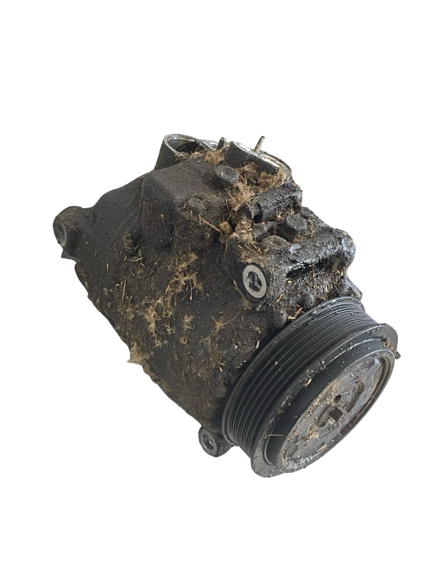 Compresor  AC MERCEDES-BENZ VITO Bus W639 2003 - > 2.2 111 CDI OM 646.982 – foto 2